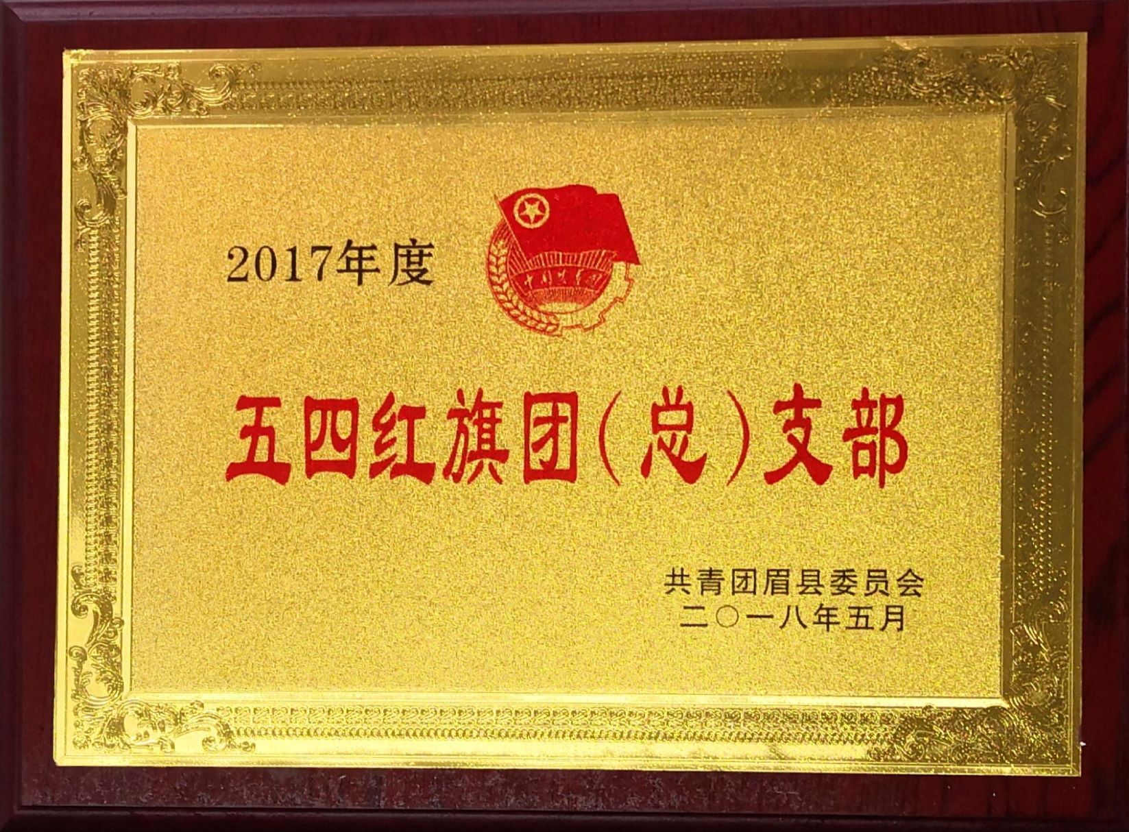 2017年度五四红旗团（总）支部
