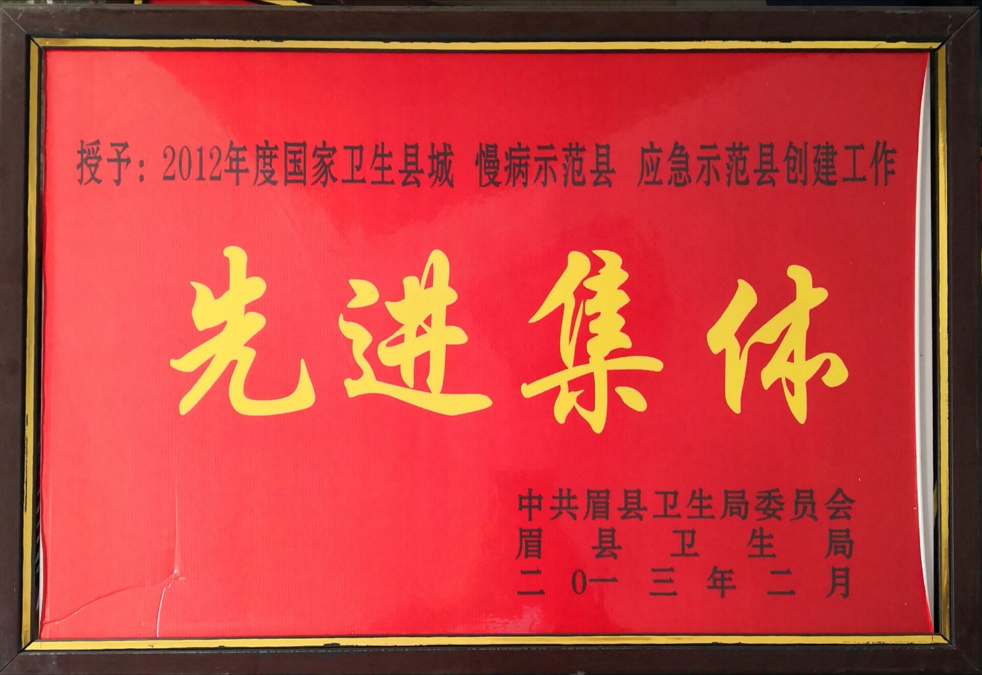 2012年度国家卫生县城慢病示范县应急示范县创建工作先进集体